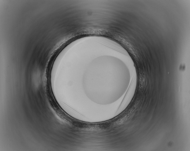 X0000099550674200806061517