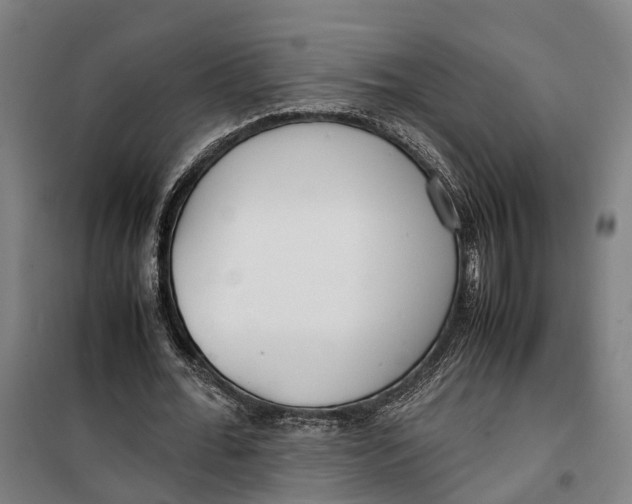 X0000099550676200806061517