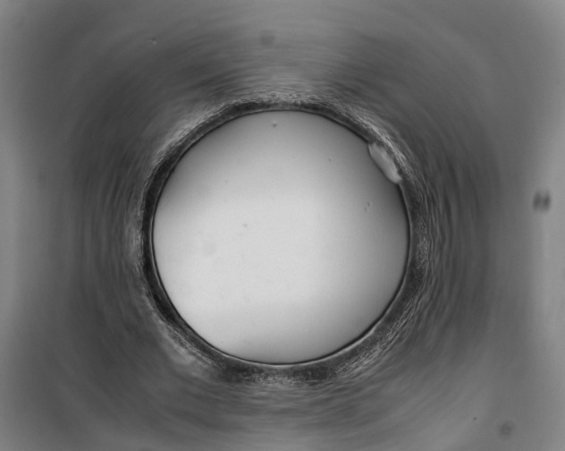 X0000099550677200806061517