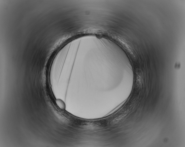 X0000099550678200806061517