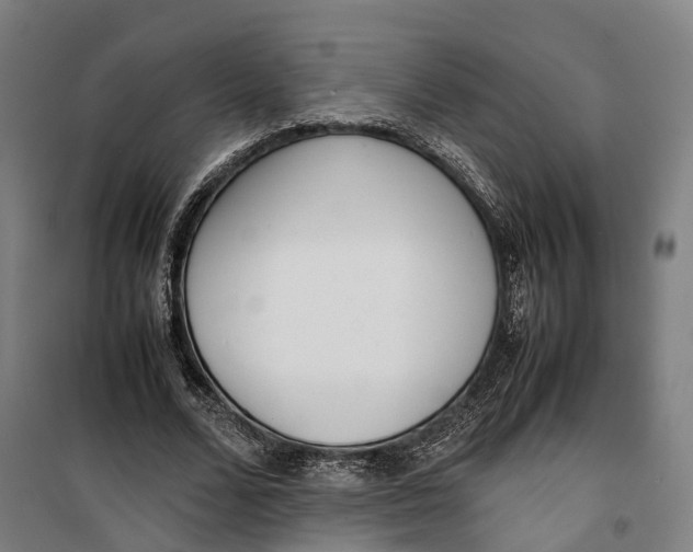 X0000099550680200806061517