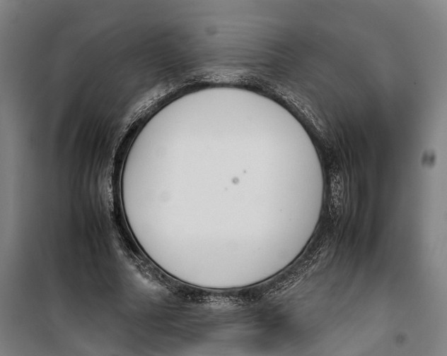 X0000099550682200806061517