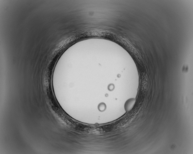 X0000099550683200806061517