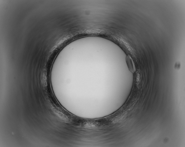 X0000099550684200806061517