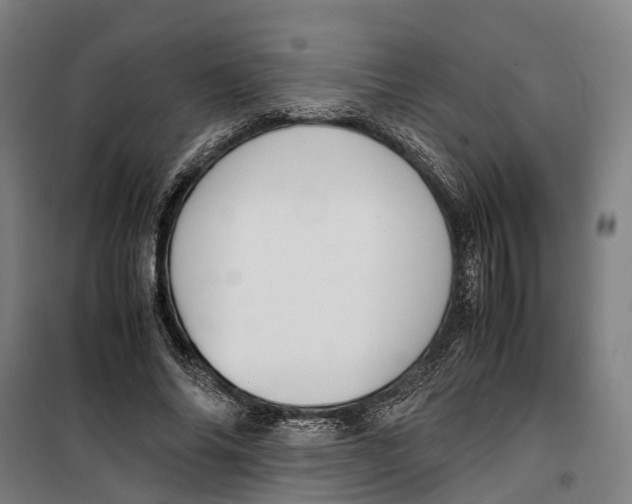 X0000099550686200806061517