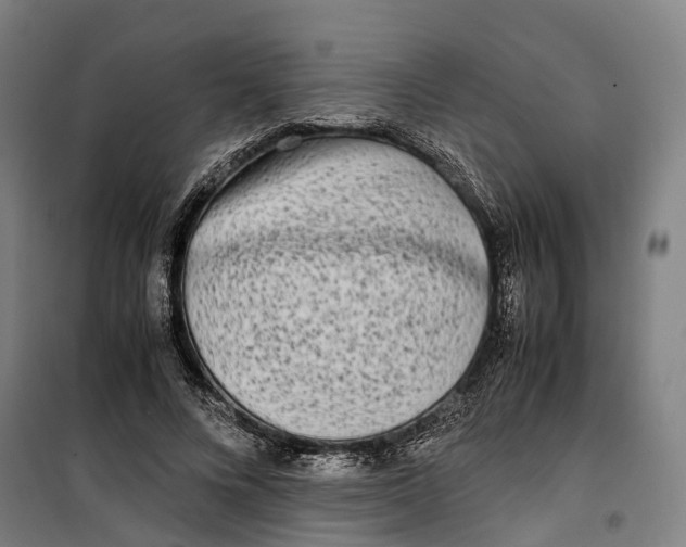 X0000099550688200806061517