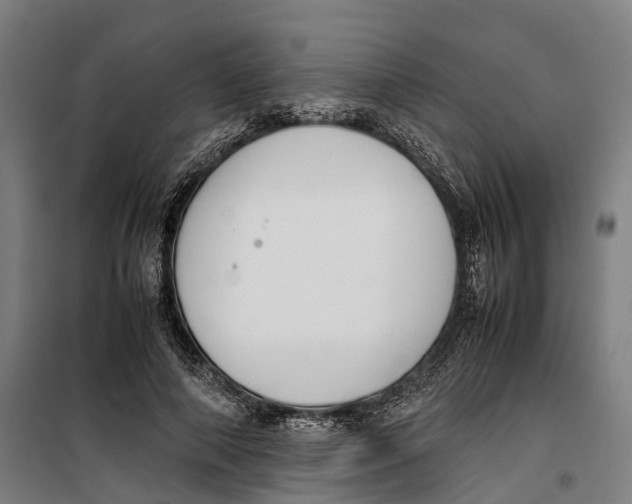 X0000099550690200806061517