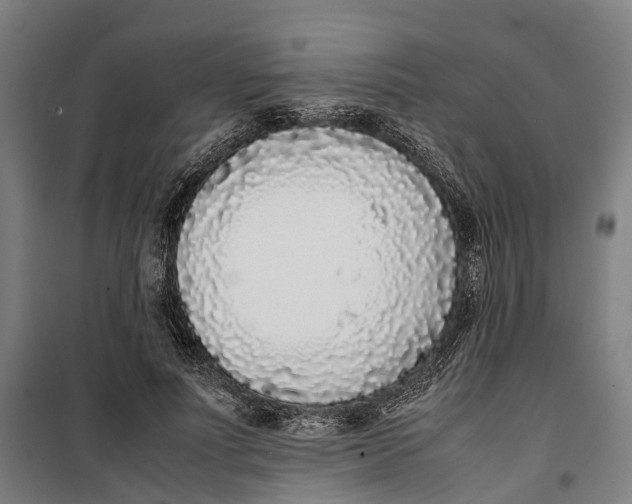 X0000099550691200806061517