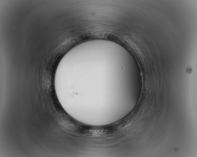 X0000099550693200806061517