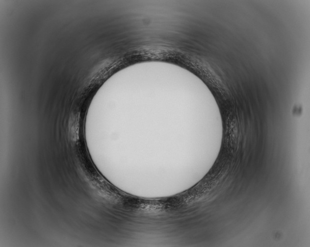 X0000099550694200806061517