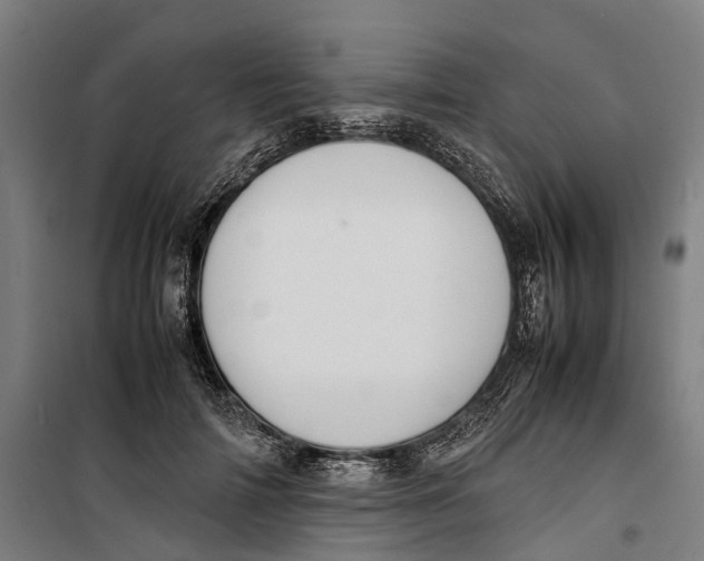 X0000099550698200806061517