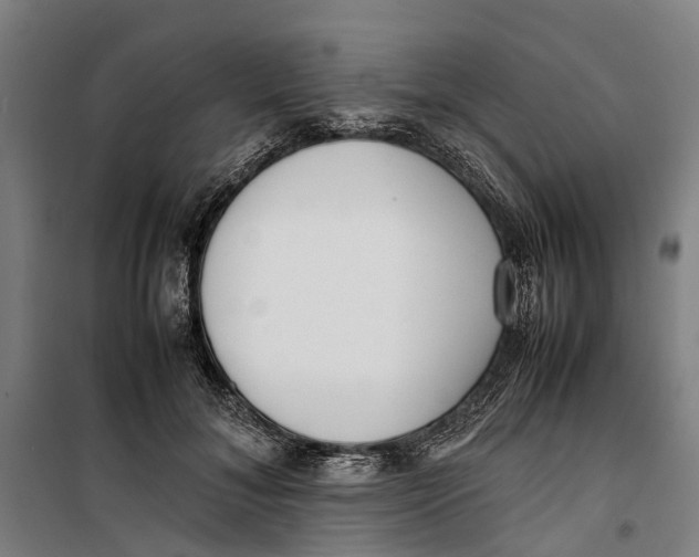 X0000099550700200806061517