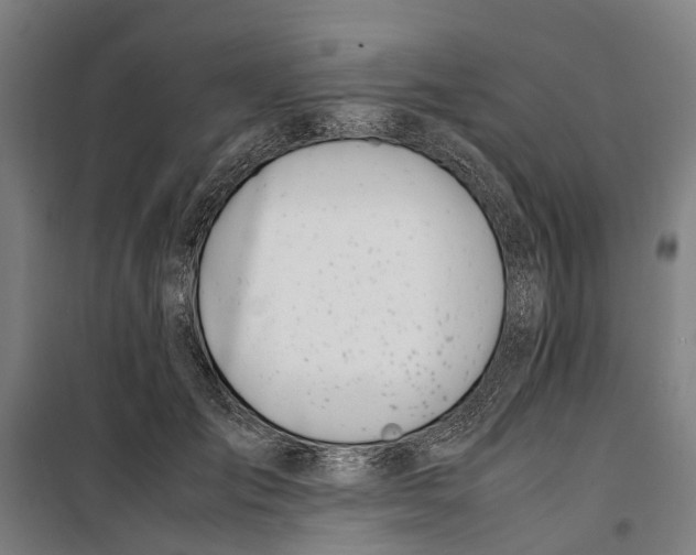 X0000099550701200806061517