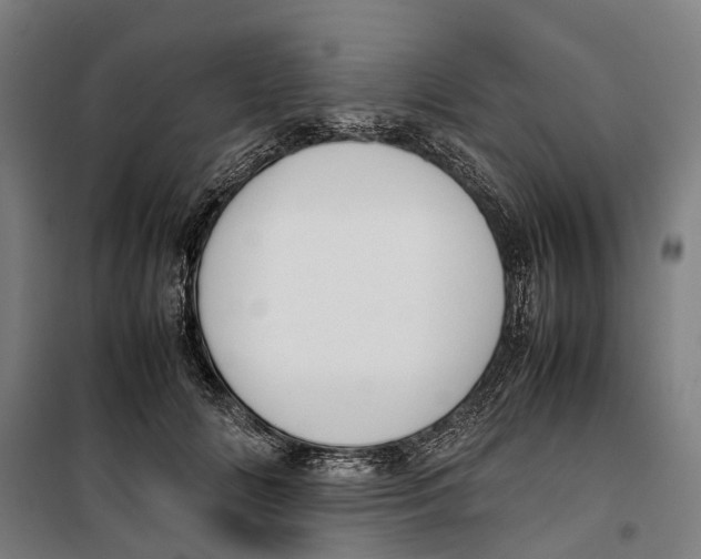 X0000099550702200806061517