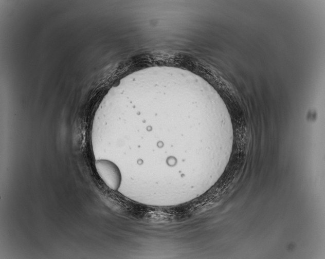 X0000099550703200806061517