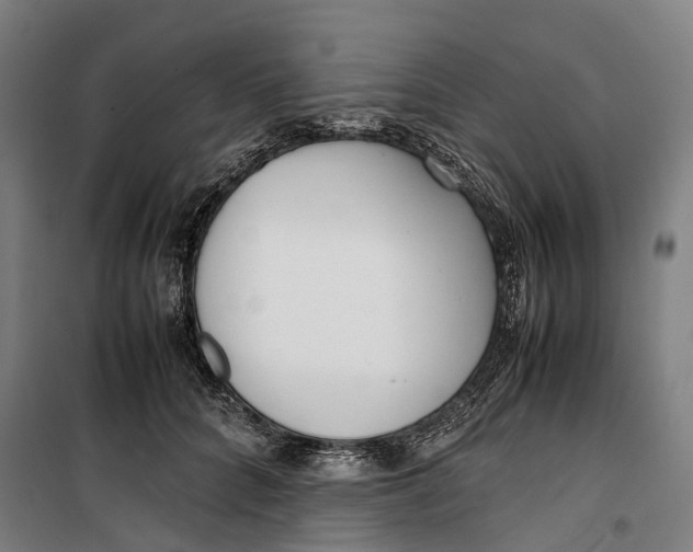 X0000099550704200806061517