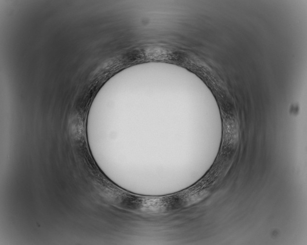 X0000099550705200806061517