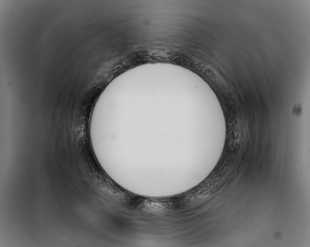 X0000099550706200806061517