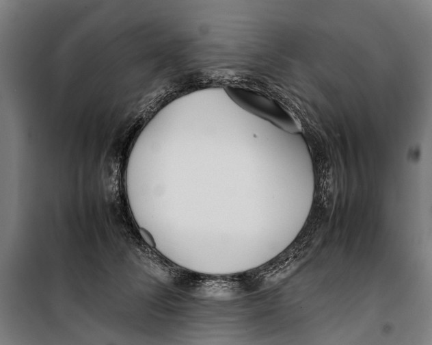 X0000099550708200806061517