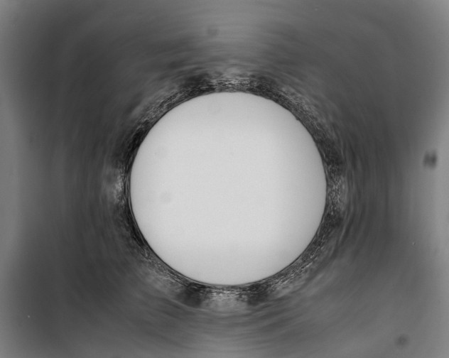 X0000099550709200806061517