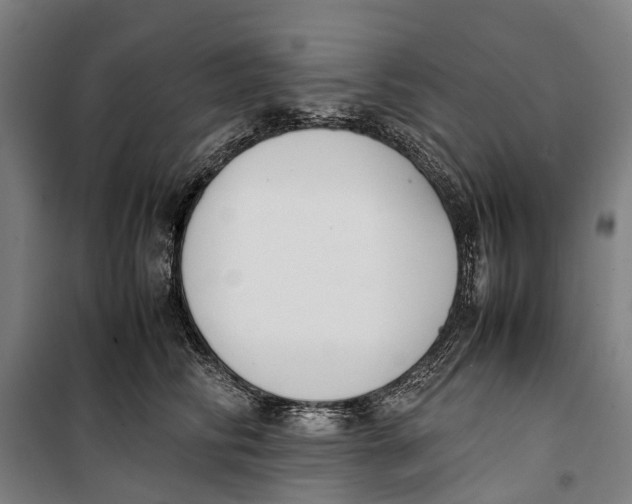 X0000099550710200806061517