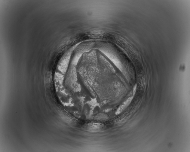 X0000099550711200806061517