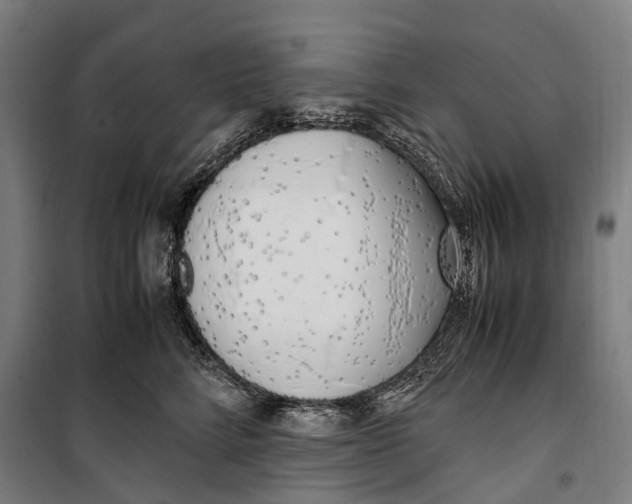 X0000099550712200806061517