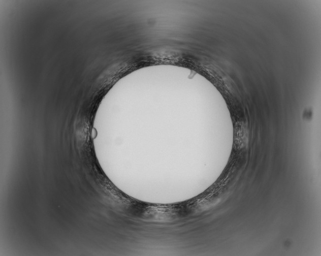 X0000099550713200806061517