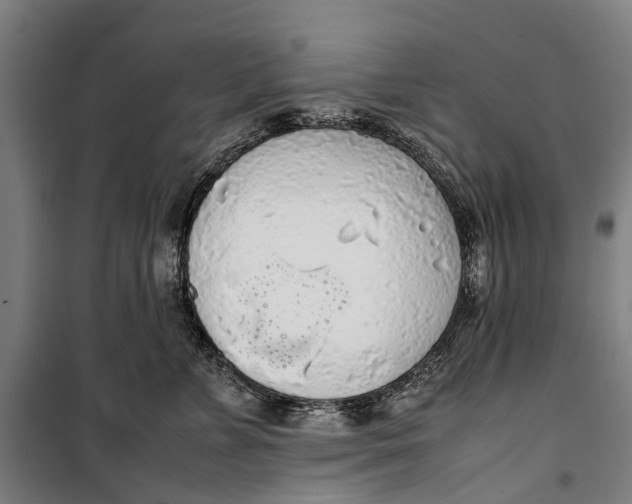 X0000099550715200806061517