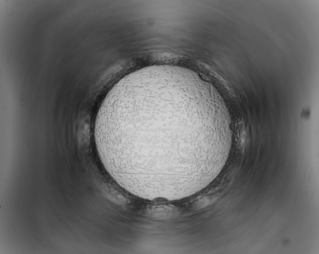 X0000099550716200806061517