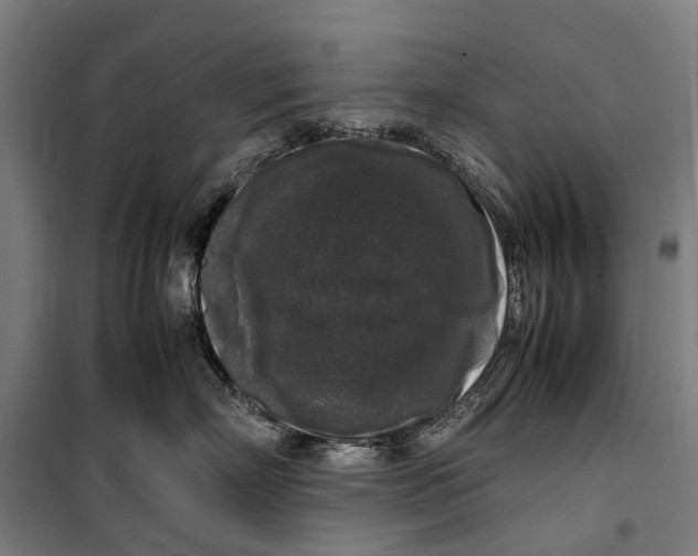 X0000099550718200806061516