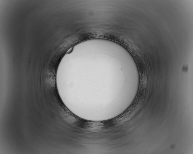 X0000099550719200806061516