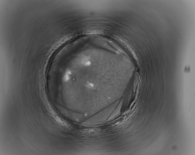 X0000099550721200806061516