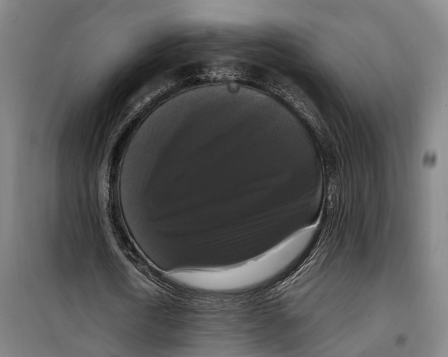 X0000099550722200806061516