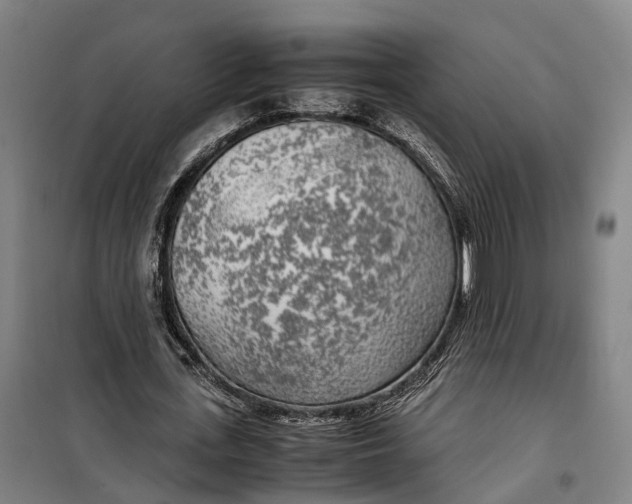 X0000099550723200806061516