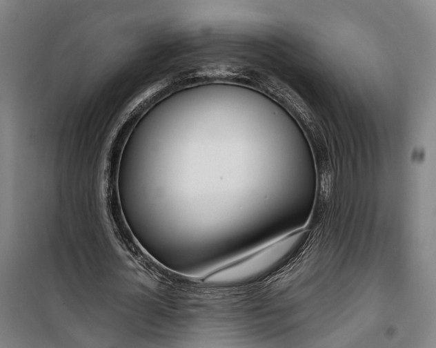 X0000099550724200806061516