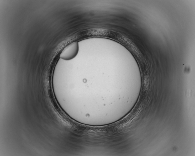 X0000099550725200806061516