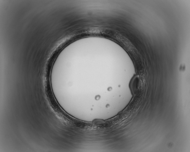 X0000099550728200806061516