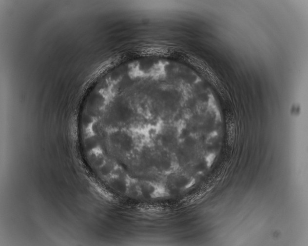 X0000099550729200806061516