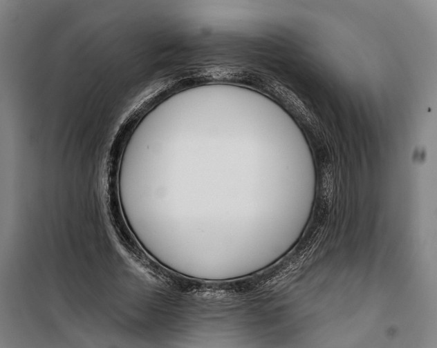 X0000099550730200806061516