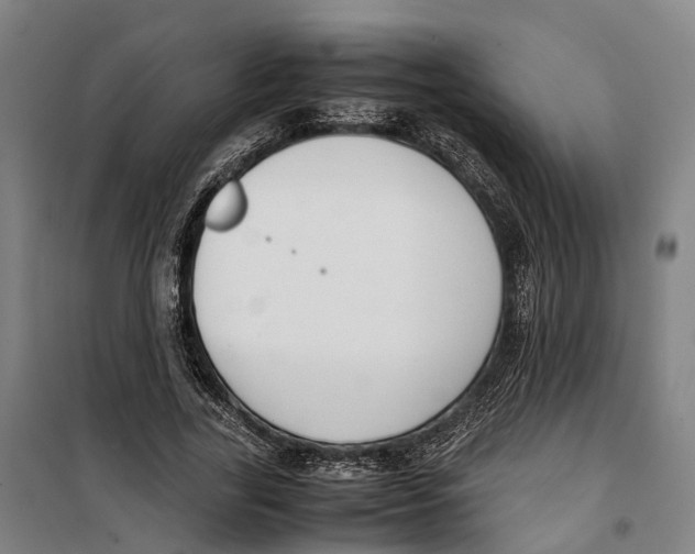 X0000099550731200806061516