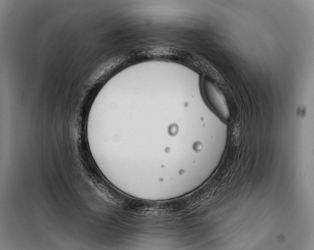 X0000099550732200806061516