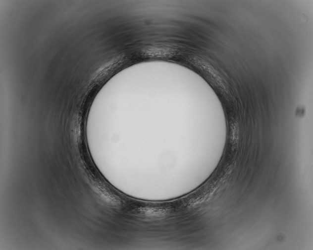 X0000099550733200806061516