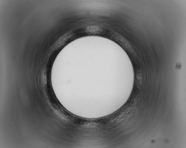 X0000099550734200806061516