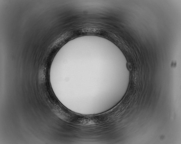 X0000099550735200806061516