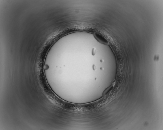 X0000099550736200806061516