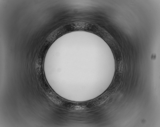 X0000099550737200806061516