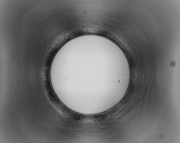 X0000099550738200806061516