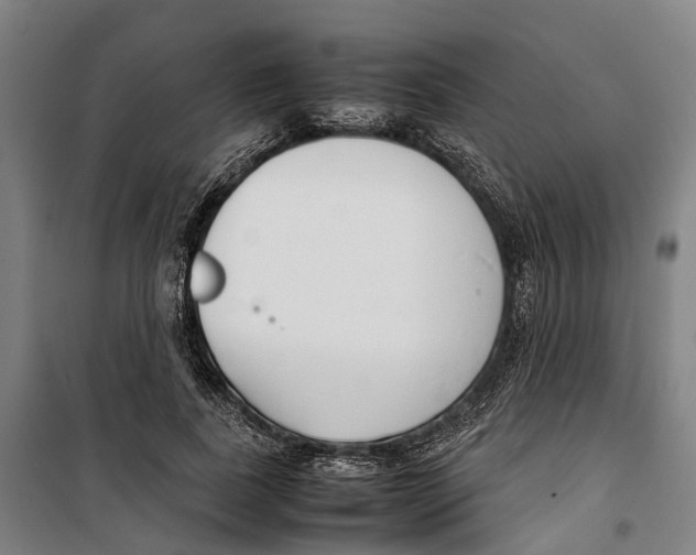 X0000099550739200806061516