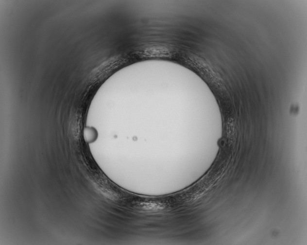 X0000099550741200806061516